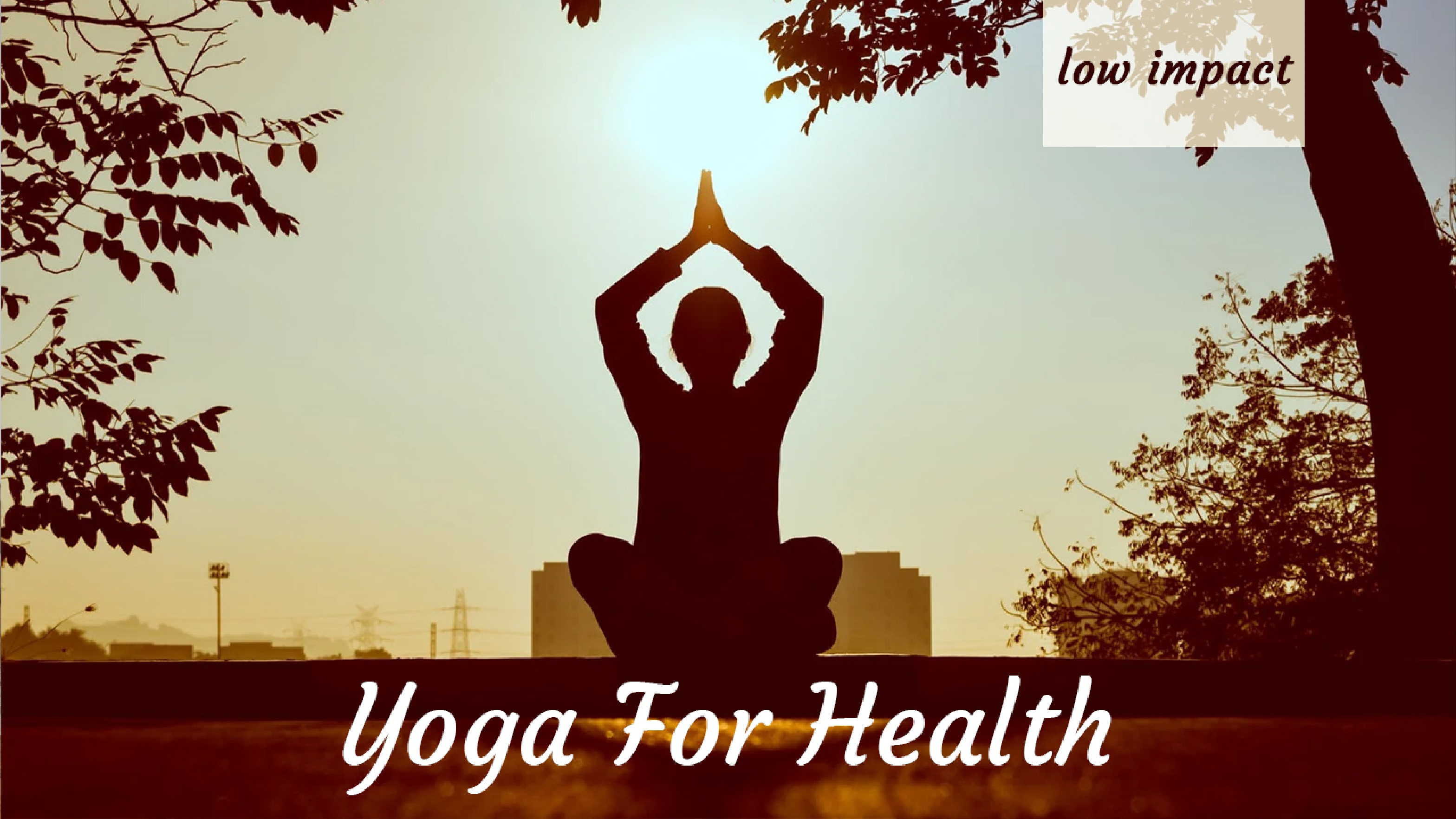 Western science is starting to provide some concrete clues as to how yoga works to improve health, heal aches and pains, and keep sickness at bay.